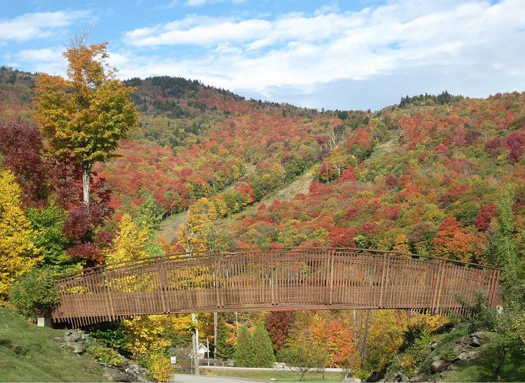 Ski In/Out Trailside Townhome Killington Exteriör bild
