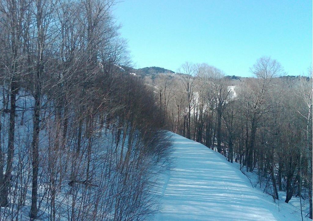 Ski In/Out Trailside Townhome Killington Exteriör bild